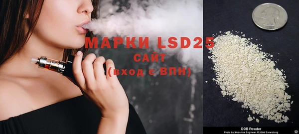 прущие грибы Алзамай