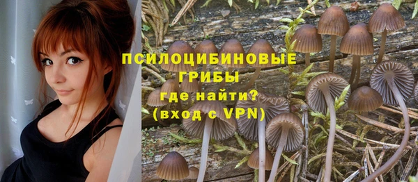тгк Алексин