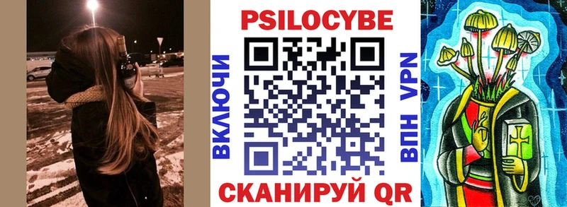 где купить наркотик  MEGA маркетплейс  Псилоцибиновые грибы Psilocybine cubensis  Каргополь 